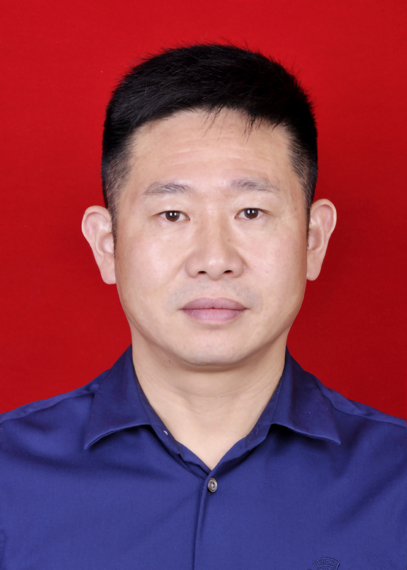 副会长：王小刚